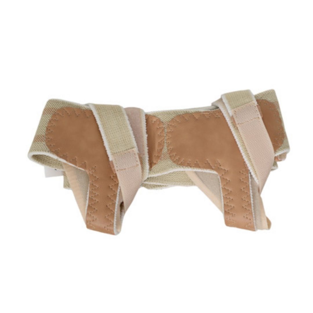 Anatomical Double Hernia Ligament Support